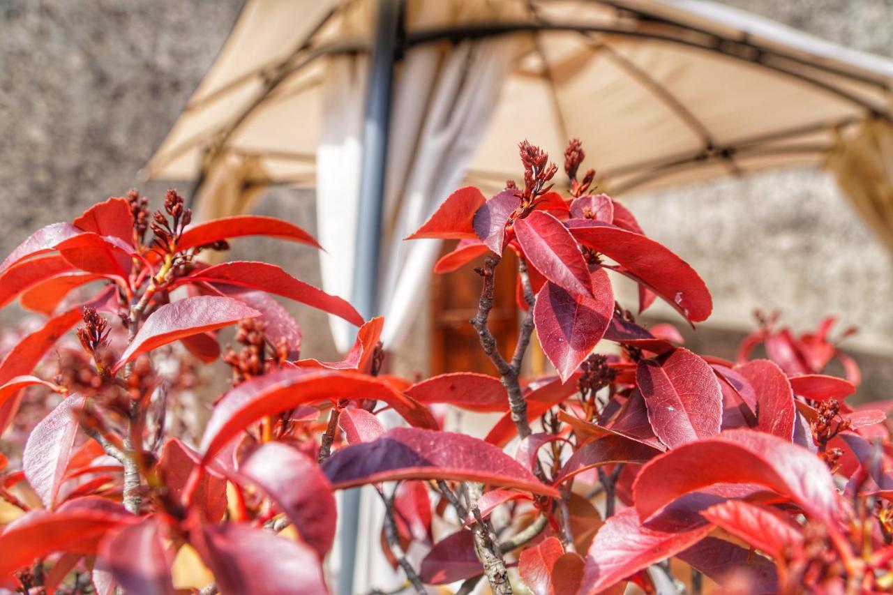 Agriturismo Casa Da Pietro Poggio Alla Croce 外观 照片